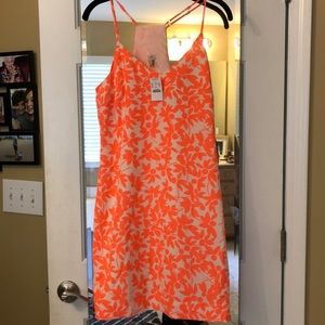 J Crew sundress